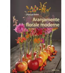 Aranjamente florale moderne - pnczel pter