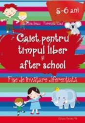 Caiet pentru timpul liber si after school 5-6 ani - Valentina Iliescu Florentina Vasui