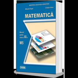 Matematica. manual m5 clasa a xi-a