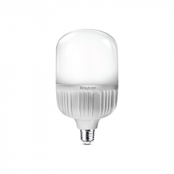 Bec LED E27 20W Lumina Rece 