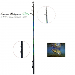 Lanseta Bologneza TSH-3 TE5 - 500GT C.WT 5-25g Carbon 98 Lungime 5m
