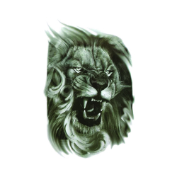 Tatuaj temporar pentru brate piept spate sau picioare 3D impermeabil medium zise 21 x 15 cm T61 - Tattoo Temporary Phuture R 