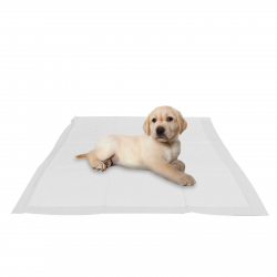 Covoras Absorbant 50 x 40 cm 75 buc/Set VIVO 