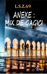 Anexe - mix de gagici - roman despre fictiunea sexului