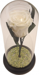 Cupola cu trandafir criogenat fosforescent Sevirox Decor Unique Alb Verde fosforescent Inaltime 21 cm x diametru 11 5 cm 