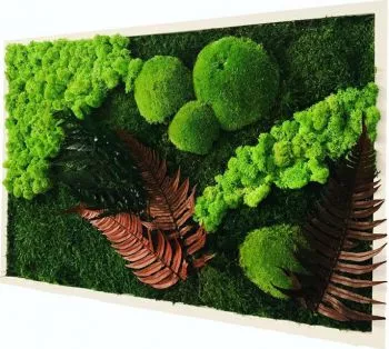 Tablou cu licheni muschi si plante stabilizate Licheni ART 60x40 cm