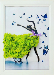 Tablou Licheni Art Balerina 33X25 cm
