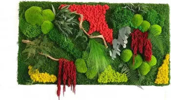 Tablou cu licheni muschi si plante stabilizate naturale 130x70 cm