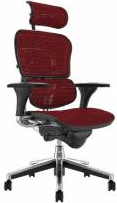 Scaun Ergohuman v1 Plus mesh 3D Bordo cu tetiera 2D suport lombar brate reglabile 3D sezut translabil QMOBILI 