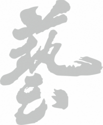 Sticker auto cu litere japoneze tuning JDM 20cm negru 
