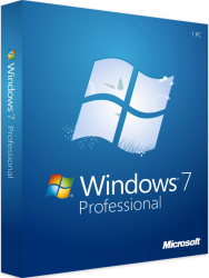 Windows 7 Professional - Licenta electronica 