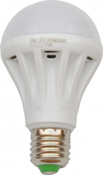 Bec BM LED Eco 7W alb rece 