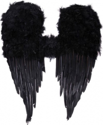 Aripi negre de inger pentru costumatie de Halloween Topi Dreams 