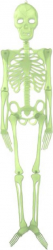 Decoratiune suspendabila pentru petrecere de Halloween schelet uman fosforescent lumineaza in intuneric 1.5 m 
