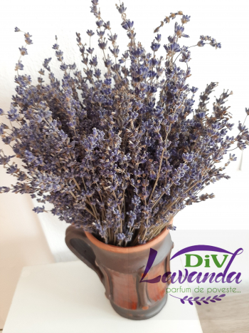 Aranjament cu Lavanda in Vas Ceramic Handmade