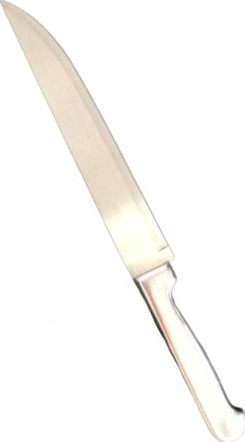 Cutit inox lungime 31.5 cm 