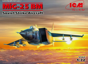 ICM 72175 - 1 72 MiG-25 BM Soviet Strike Aircraft 