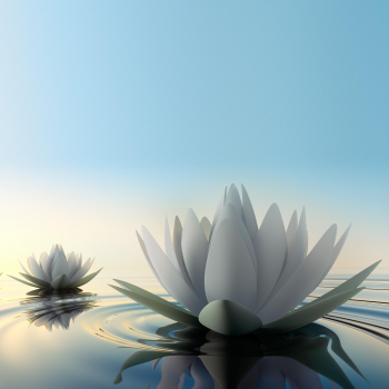 Panou sticla decorativa bucatarie 600 x 900MM NUFAR 