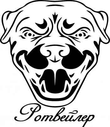 Sticker decorativ perete / geam si auto Pitbull pombeurep 17x13 cm 