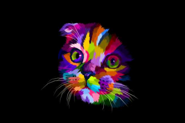 Tablou canvas cu rama si sistem de prindere colorful cat 100x70 cm