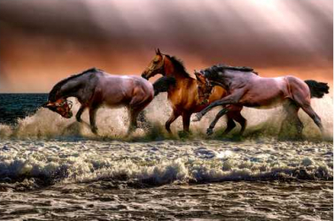 Tablou canvas cu rama si sistem de prindere horses100x70 cm 