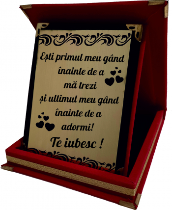 Placheta cu urare de Valentines Day Model Te iubesc Cutie Catifea Rosie 20.5 x 16cm 