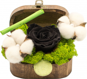 Cufar Cu Trandafir Criogenat Negru si Flori de Bumbac Little Secret Garden Decoriada 