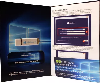 Windows 10 Pro pe stick USB