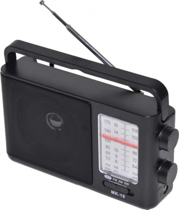 Radio portabil elSales ELS-MK19 cu FM AM SW negru 