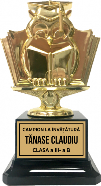 Trofeu Scolar Pentru Copii 