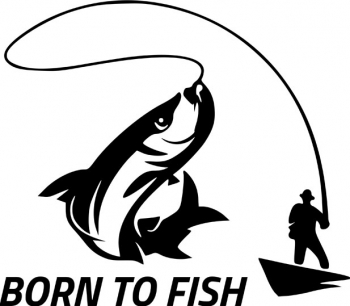 Set 2 x Sticker Auto Pescar Born to fish Alb 24 x 22 cm