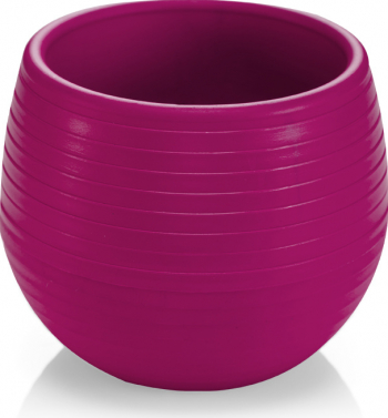 Ghiveci SERINOVA pentru cactus 6 2cm 0 13 l culoare mov 