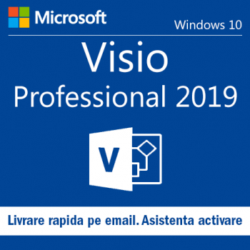 Visio Professional 2019 Retail Licenta Permanenta 