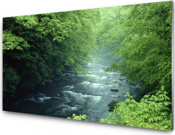 Panou antistropi bucatarie sticla securizata model Parau de munte 600x600 mm 