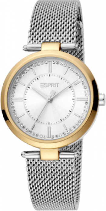 Ceas de dama Esprit ES1L251M0075 Auriu-Argintiu 