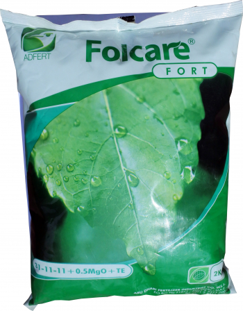 Ingrasamant Folcare Fort 10-52-8+0.6MgO+TE 2 kg 