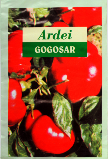 Seminte ardei gogosar Splendens 5 grame 