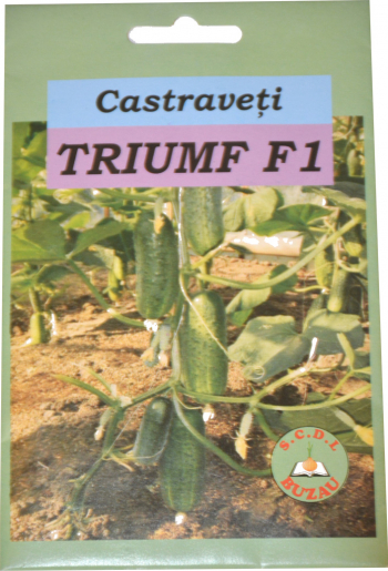 Seminte de castraveti Triumf F1 hibrid tip cornichon 5 grame 