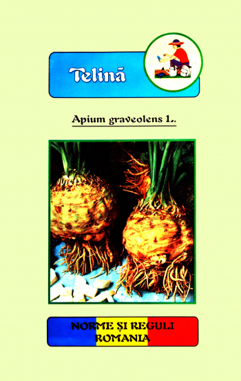 Seminte de telina Dacia 5 grame 