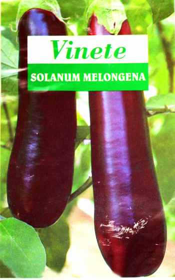 Seminte de vinete Zaraza 5 grame 