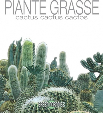 Seminte plante de cactus amestec Le Insolite plic 0.5gr 