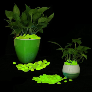 Pietricele fosforescente decorative glow verde deschis decor exterior si interior 500 g 