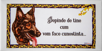 010 Model Labus CeramicPrint - 10x30 