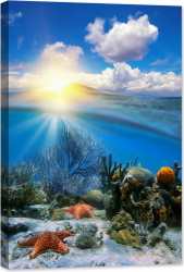 Tablou luminos in intuneric GlowforHome Apus de soare si corali subacvatici 90 cm x 60 cm 