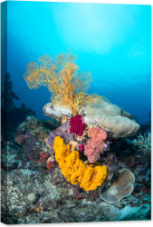 Tablou luminos in intuneric GlowforHome Burete galben si coral moale de mare 60 cm x 40 cm 
