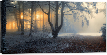 Tablou luminos in intuneric GlowforHome Ceata in padure iarna cu bruma si zapada 120 cm x 60 cm 