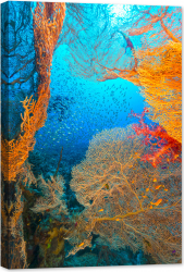 Tablou luminos in intuneric GlowforHome Coral moale de mare si Glassfish 90 cm x 60 cm 