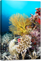 Tablou luminos in intuneric GlowforHome Coral moale in Marea Galbena Tropicala 90 cm x 60 cm 