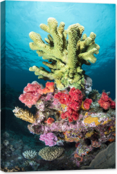 Tablou luminos in intuneric GlowforHome Coral tropical verde 90 cm x 60 cm 