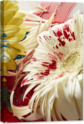 Tablou luminos in intuneric GlowforHome Flori Gerber 60 cm x 40 cm 
